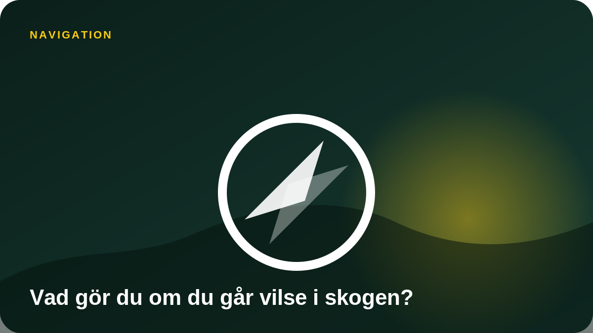 Illustration: Vad gör du om du går vilse i skogen?