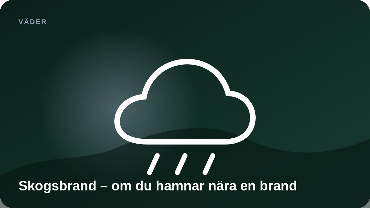 Illustration: Skogsbrand – om du hamnar nära en brand